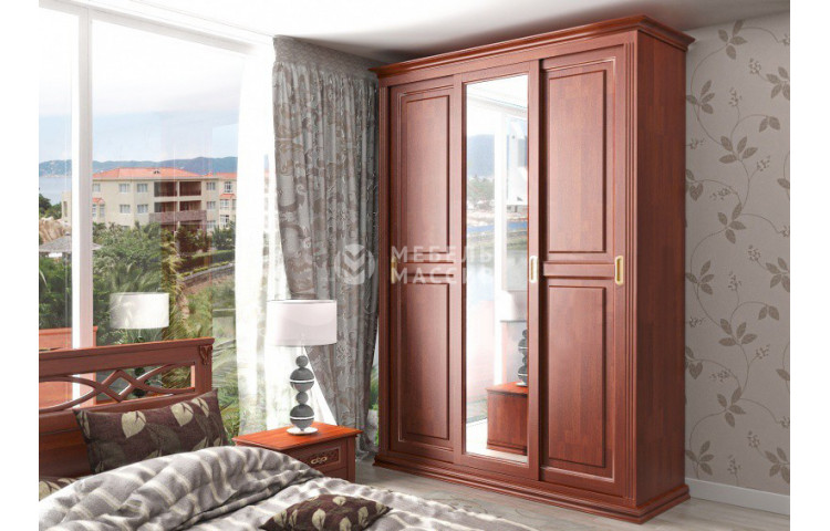 Шкаф-купе Венеция 3